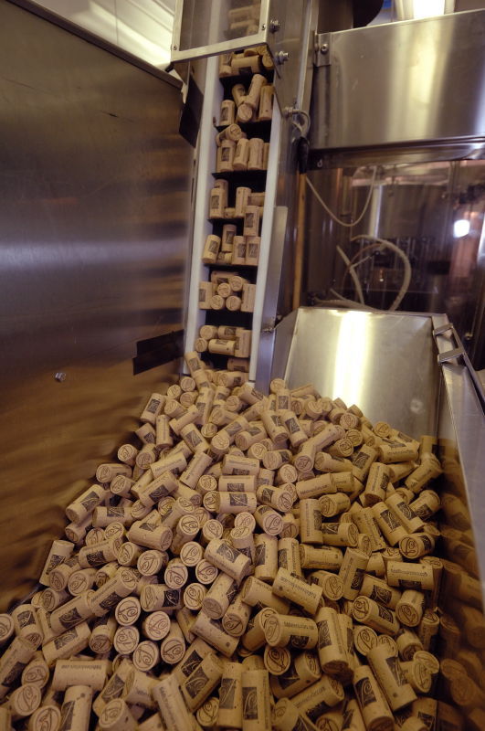 Fiddlehead Cellars